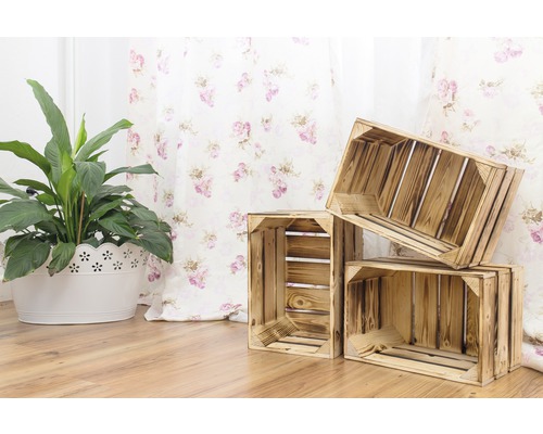 Decoratieve houten stapelbare kisten naast een plant in een pot