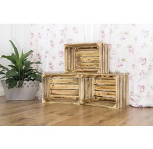 Decoratieve houten stapelkratten met kamerplant