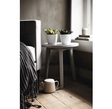 Twee planten in witte potten op een bijzettafel naast een fauteuil