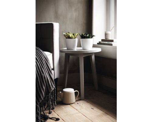 Twee planten in witte potten op een bijzettafel naast een fauteuil