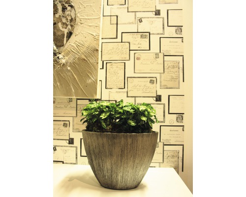 Decoratieve kamerplant in een plantenbak voor een muur met een envelopmotief