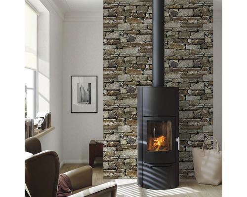 Woonkamer met kachel en stenen wandbekleding