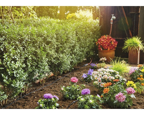 Tuinbewateringssysteem met planten en haag in de tuin