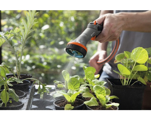 Tuin bewateren met een tuinspuit voor zaailingen in potten.