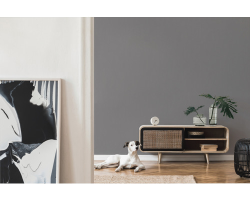 Woonkamer met grijze muurverf, dressoir, kamerplanten en hond