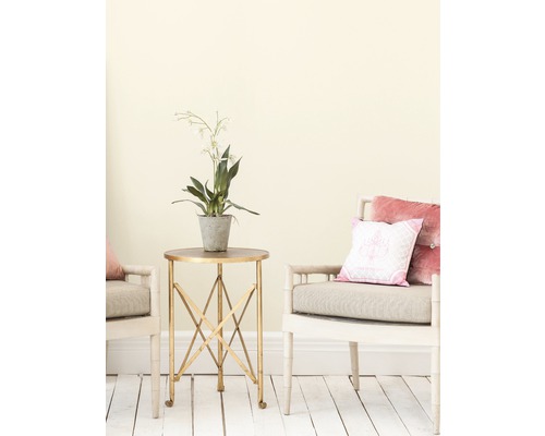 Scene met bijzettafel, potplant en twee stoelen met kussens