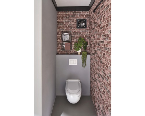 Modern gastentoilet met toilet, wandbekleding in steenlook, rek en kamerplanten