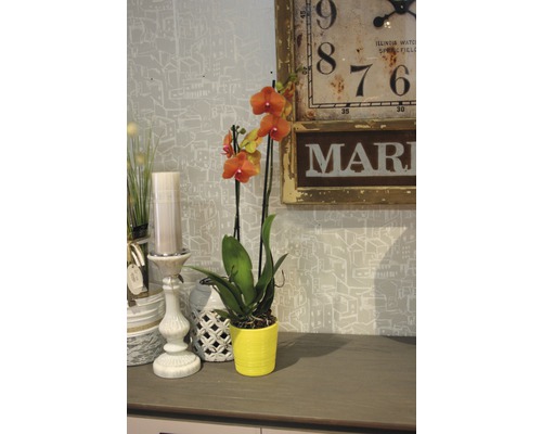 Decoratieve scène met oranje orchidee in gele pot, vintage klok en kandelaar