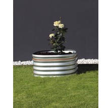 Metalen plantenbak met rozenplant op gazon