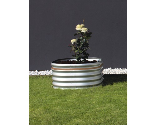 Metalen plantenbak met rozenplant op gazon