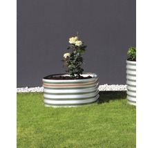 Metalen plantenbak met roos in de tuin