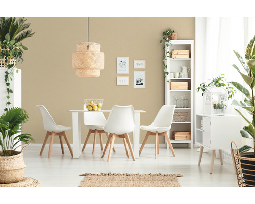 Lichte eetkamer met eettafel, stoelen, rek en decoraties