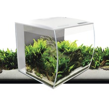 Hoekaquarium gedecoreerd met planten en stenen