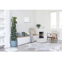 Lichte kamer met kamerplanten, booglamp, zitbank en vloerkleed