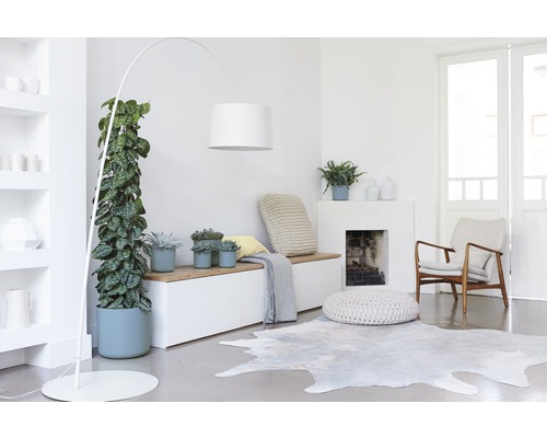 Lichte kamer met kamerplanten, booglamp, zitbank en vloerkleed