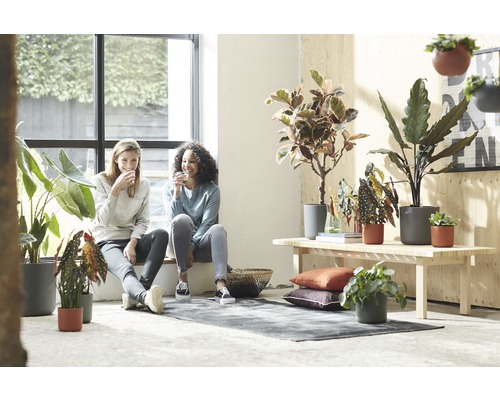 Lichte kamer met kamerplanten, bank en twee vrouwen bij het raam