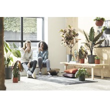 Lichte kamer met kamerplanten, twee vrouwen zitten op de vensterbank