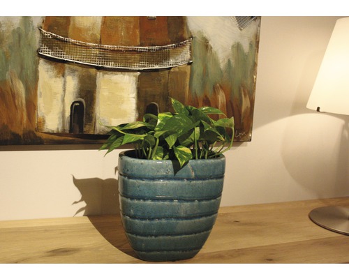 Kamerplant in een pot op een dressoir voor een schilderij en een lamp