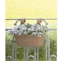 Bloembak met witte bloemen aan balkonreling