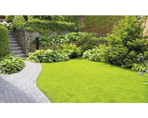 Tuinlandschap met gazon, stenen pad, trap en weelderige beplanting