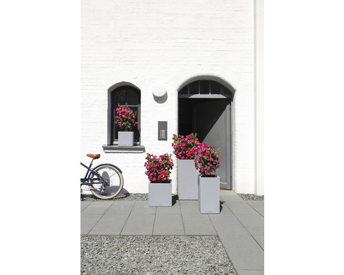 Bloemstuk in plantenbakken voor een huis met een fiets