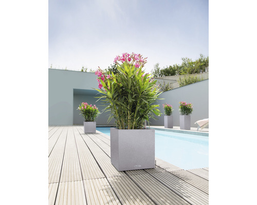 Vierkante plantenbakken met bloeiende planten naast een zwembad op een houten terras
