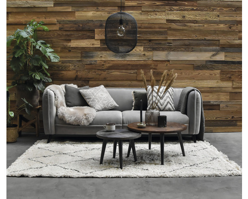 Woonkamer met bank, tapijt, salontafels, decoratie en houten wand