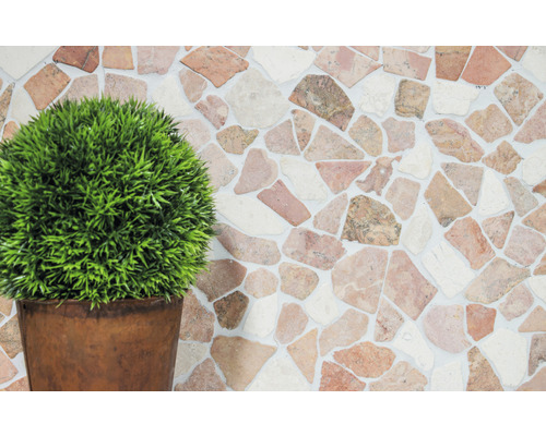 Decoratieve stenen muur met plant in pot