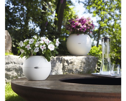 Scene met Lechuza bloempotten op een tafel in de buitenlucht.