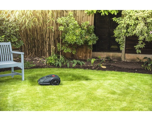 Tuinscène met robotmaaier op gazon