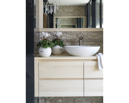 Badkamer met wastafel, opzetwastafel, kraan en decoratie