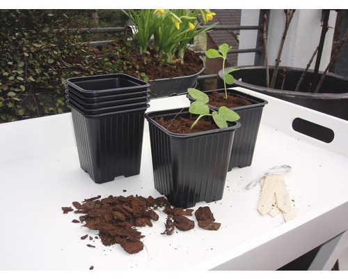 Zaailingpotten, potgrond, planten en houten bordjes op een tafel voor het tuinieren.