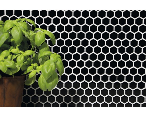 Wandafbeelding met zwarte zeshoekige tegels en potplant