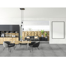 Woonkamer met kitchenette, eettafel en zitplaatsen in modern design
