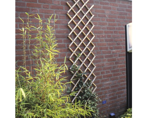 Bamboe klimrek tegen een bakstenen muur met beplanting