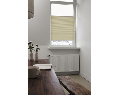 Scene met plisségordijn voor het raam, tafel, bank en radiator