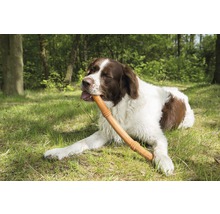 KARLIE Hondenspeelgoed Sumo Fit Stick oranje 50x3x3 cm