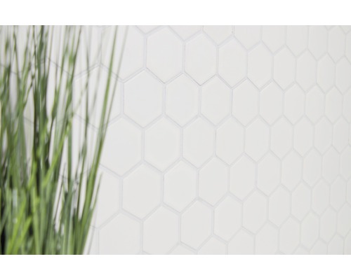 Achtergrond met witte zeshoekige tegels en onscherp decoratief gras