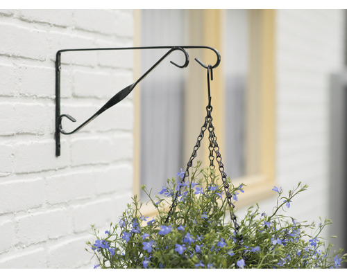 Wandhouder met hangplant voor een muur