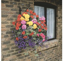 Hangende bloempot met diverse bloemen aan een bakstenen muur
