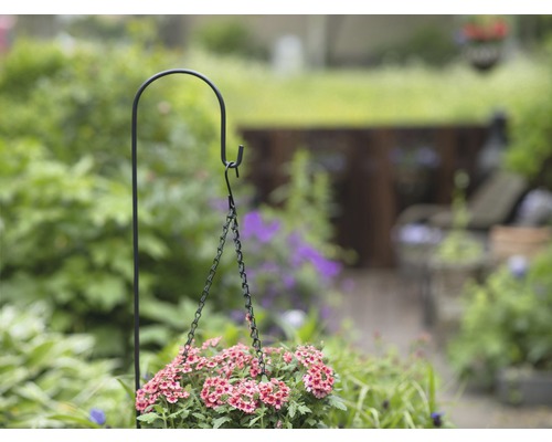 Bloempot met roze bloemen aan een haak in de tuin.