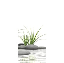Decoratieve stenen met groen gras in het water