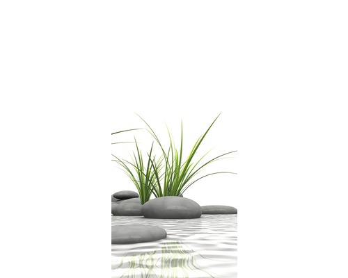Decoratieve stenen met groen gras in het water