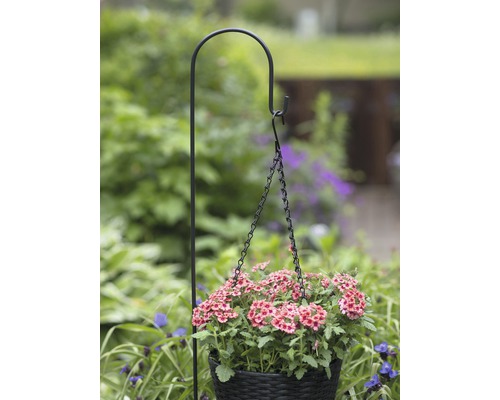 Hangmand met roze Verbena aan bloemenmandhouder in tuin