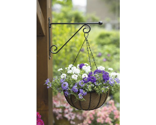 Hangmand met wit-paarse bloemen en houder