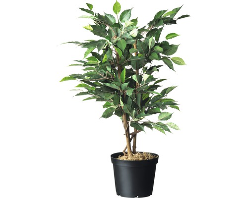 Kunstmatige Ficus Benjamini in pot