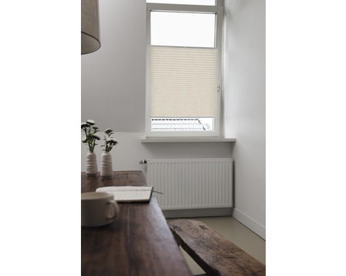 Scene met plisségordijn voor het raam, tafel, bank en radiator