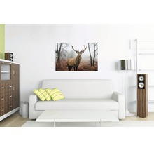 REINDERS Poster Hert in het bos 61x91,5 cm