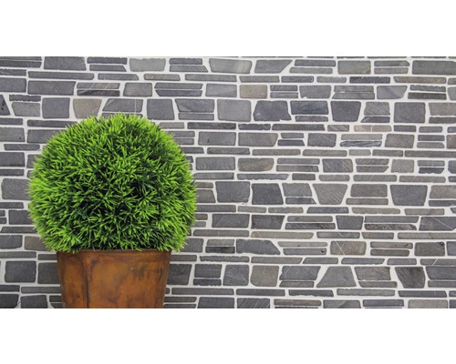 Decoratieve stenen muur met potplant