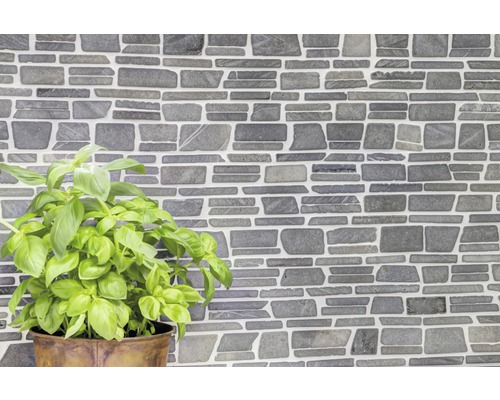 Wandtegels in steenlook met basilicumplant